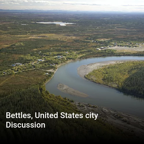 Bettles, United States city Discussion