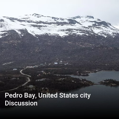 Pedro Bay, United States city Discussion