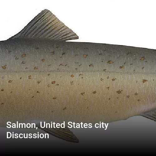 Salmon, United States city Discussion