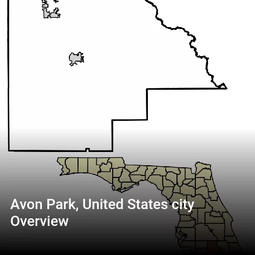 Avon Park, United States city Overview