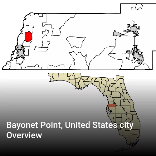 Bayonet Point, United States city Overview