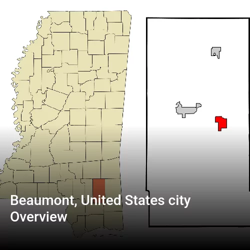 Beaumont, United States city Overview