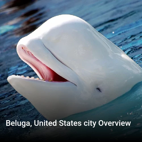 Beluga, United States city Overview