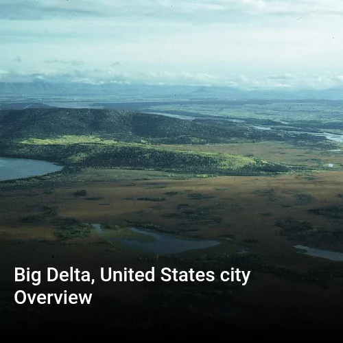 Big Delta, United States city Overview