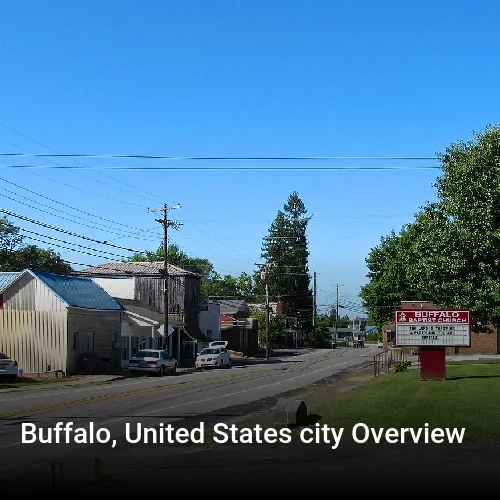 Buffalo, United States city Overview
