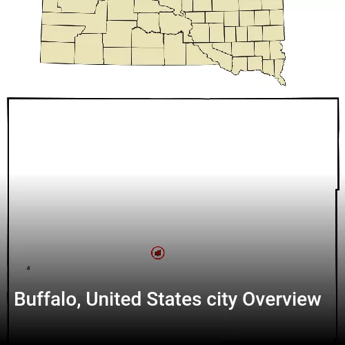 Buffalo, United States city Overview