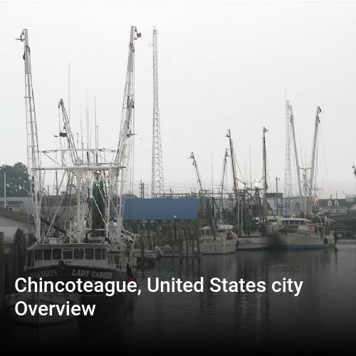 Chincoteague, United States city Overview