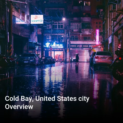 Cold Bay, United States city Overview