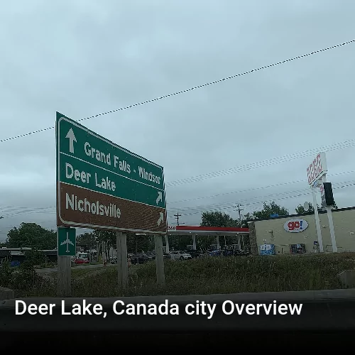 Deer Lake, Canada city Overview