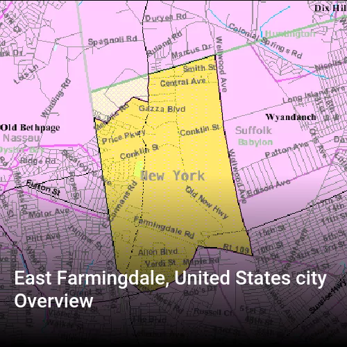 East Farmingdale, United States city Overview