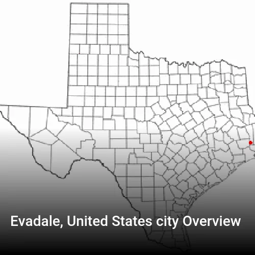 Evadale, United States city Overview