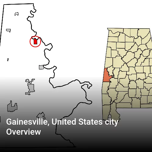 Gainesville, United States city Overview