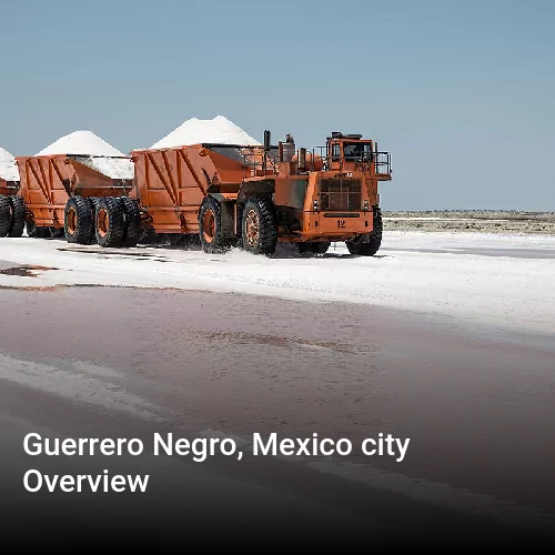 Guerrero Negro, Mexico city Overview