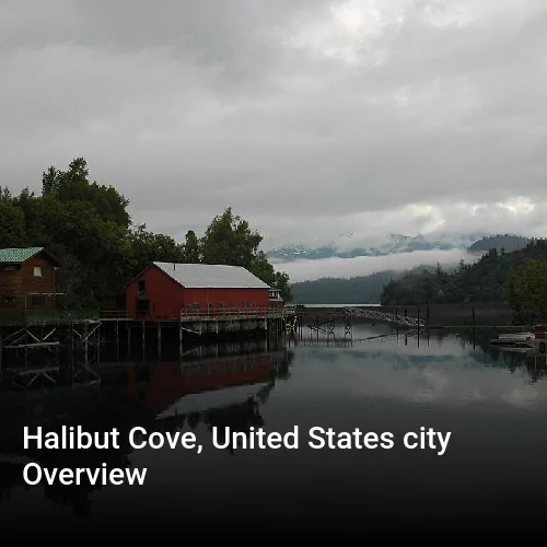 Halibut Cove, United States city Overview