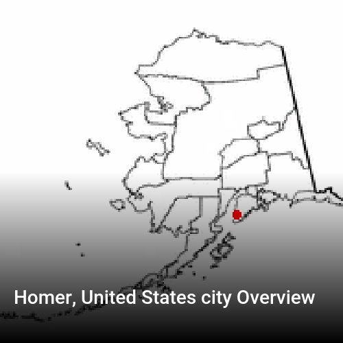 Homer, United States city Overview
