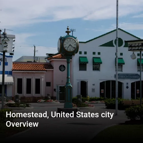 Homestead, United States city Overview