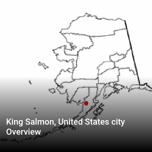King Salmon, United States city Overview