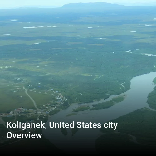 Koliganek, United States city Overview
