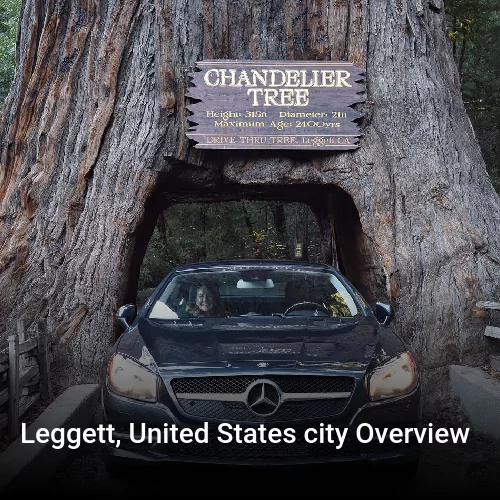 Leggett, United States city Overview