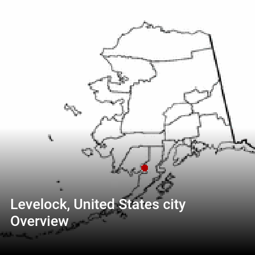 Levelock, United States city Overview