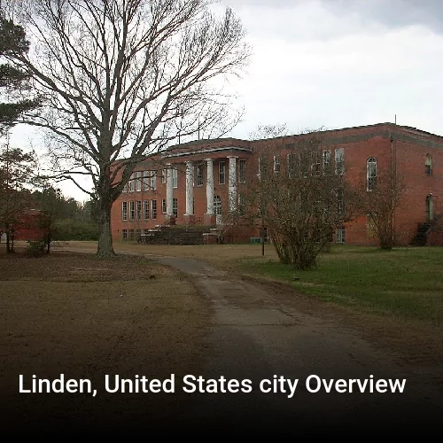 Linden, United States city Overview