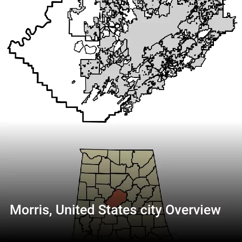 Morris, United States city Overview