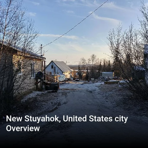 New Stuyahok, United States city Overview