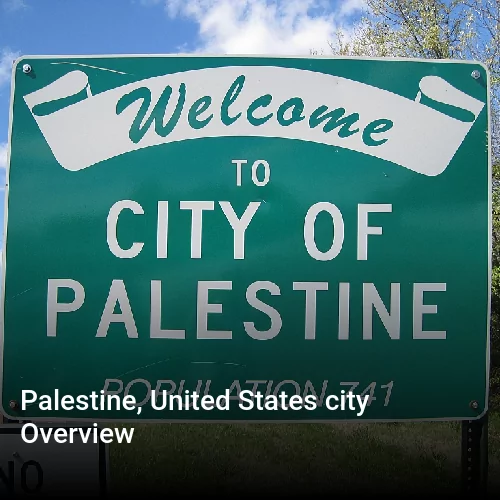 Palestine, United States city Overview