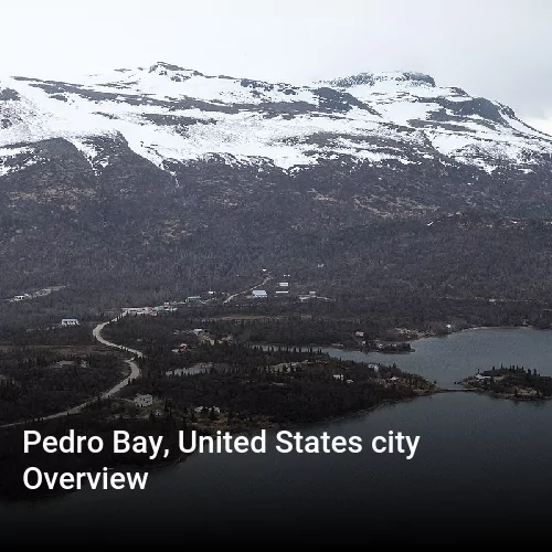 Pedro Bay, United States city Overview