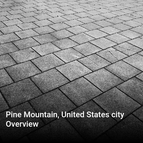 Pine Mountain, United States city Overview