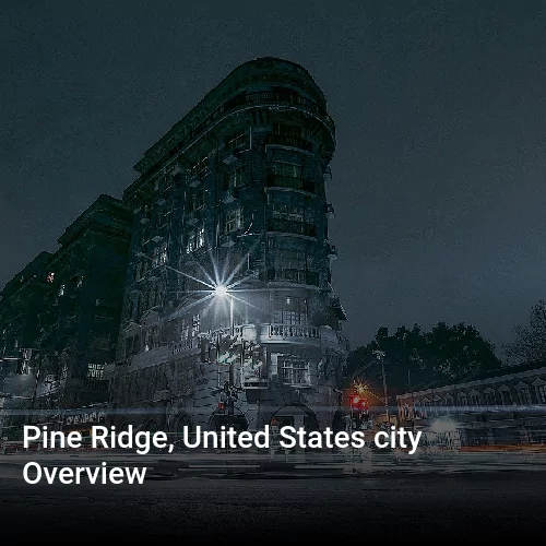 Pine Ridge, United States city Overview