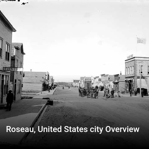 Roseau, United States city Overview