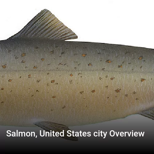Salmon, United States city Overview