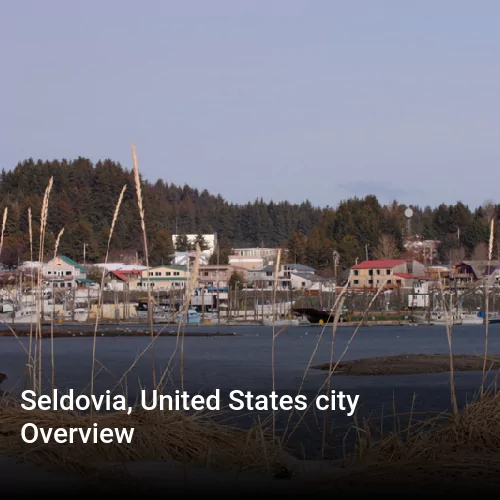 Seldovia, United States city Overview