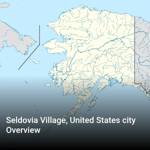 Seldovia Village, United States city Overview