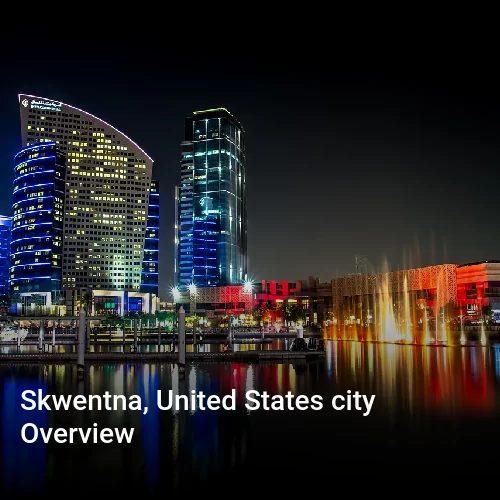 Skwentna, United States city Overview
