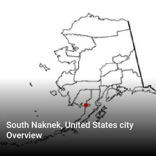 South Naknek, United States city Overview