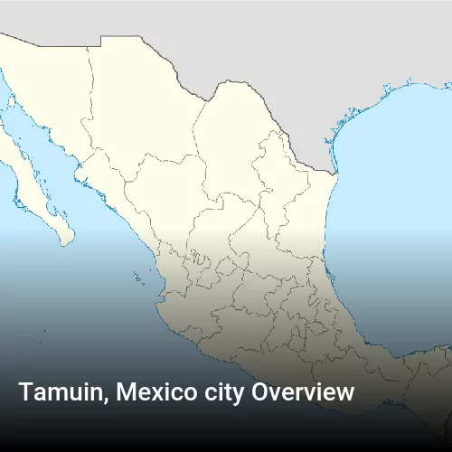 Tamuin, Mexico city Overview