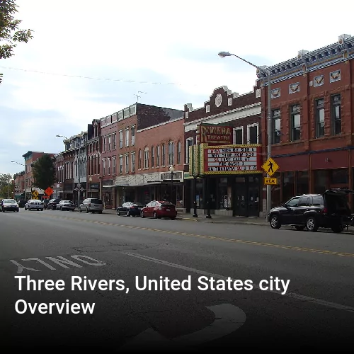 Three Rivers, United States city Overview
