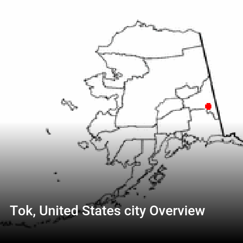Tok, United States city Overview