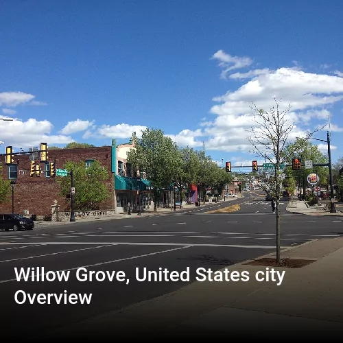 Willow Grove, United States city Overview