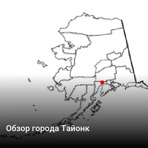 Обзор города Тайонк