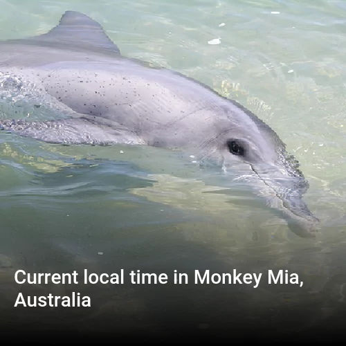 Current local time in Monkey Mia, Australia