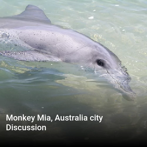 Monkey Mia, Australia city Discussion