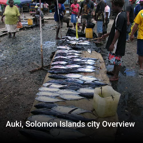 Auki, Solomon Islands city Overview