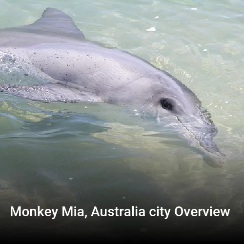 Monkey Mia, Australia city Overview