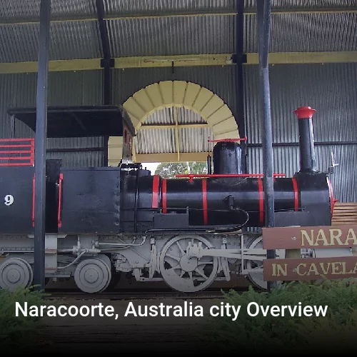 Naracoorte, Australia city Overview