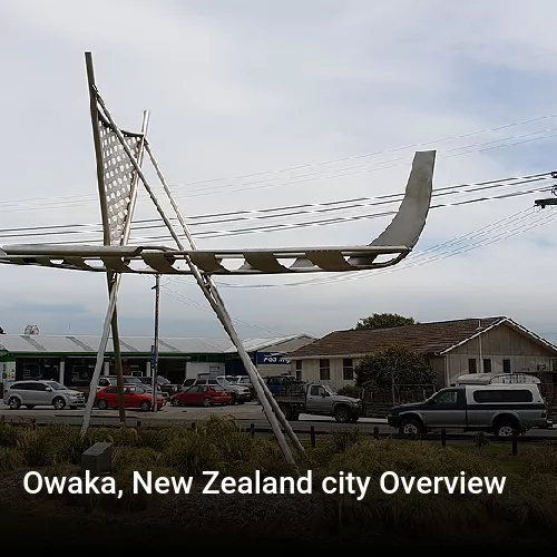 Owaka, New Zealand city Overview