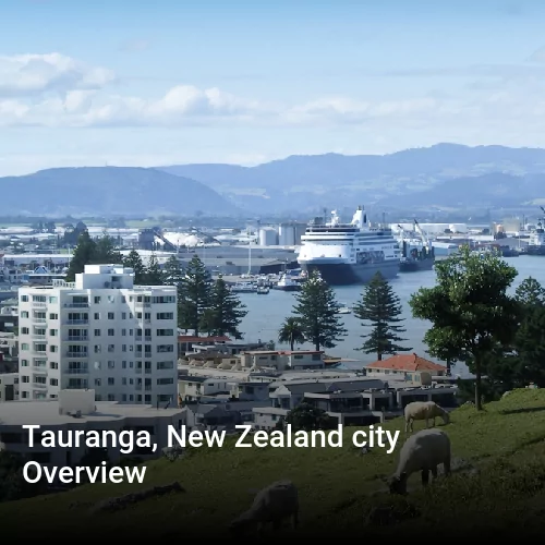 Tauranga, New Zealand city Overview