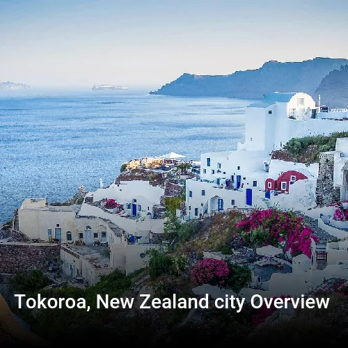 Tokoroa, New Zealand city Overview